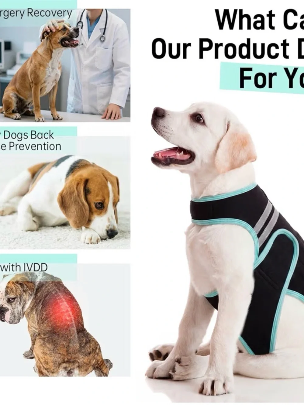 Dog Recovery Suit Back Brace- Black with Light Blue Trim Sz Small